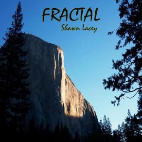 Download track The Follower Shawn Lacey