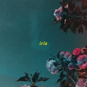 Download track Iris Sorry Idk