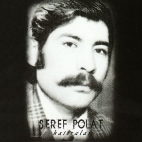 Download track Tercan Ovası Şeref Polat