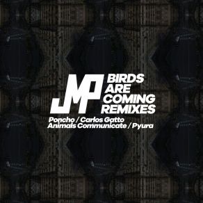 Download track Birds Are Coming - Animals Communicate Remix DJ JMPAnimals Communicate