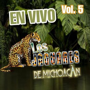 Download track Si Manana No Me Vez (En Vivo) Los Jaguares De Michoacan