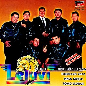 Download track Un Sueño De Amor Grupo Lejuvi