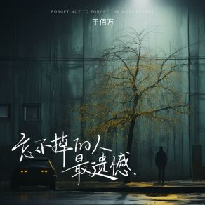 Download track 忘不掉的人最遗憾 (伴奏版) 于佰万