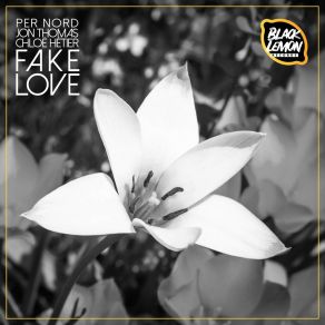 Download track Fake Love Chloe Hetier