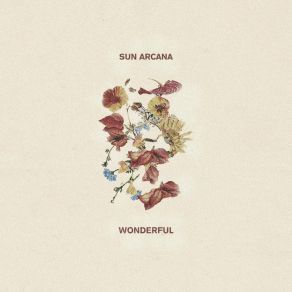 Download track Wonderful Sun Arcana