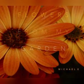 Download track The Universe Is In Us Edward Michael