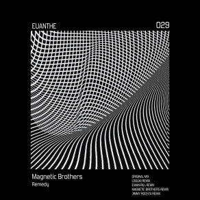 Download track Remedy (Magnetic Brothers Remix) Magnetic Brothers