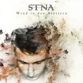 Download track Wind In Den Blättern (Remix) STNA