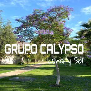 Download track Todo Con Ella Grupo Calypso