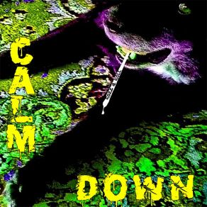 Download track Up & Down Rozz