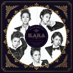 Download track Damaged Lady (Instrumental) Kara