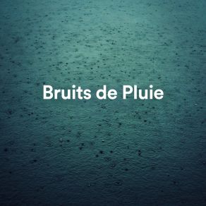 Download track Pluie Du Matin Bruits De Pluie