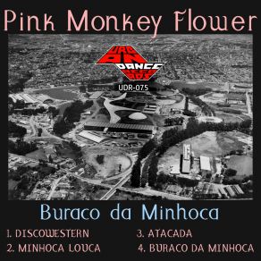 Download track Discowestern (Original Mix) Pink Monkey Flower