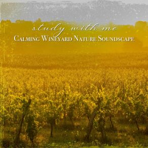 Download track Calming Wineyard Nature Soundscape, Pt. 6 Sebastian Riegl