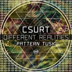 Download track Different Realities (Pattern Tusk Remix) CsurtPattern Tusk