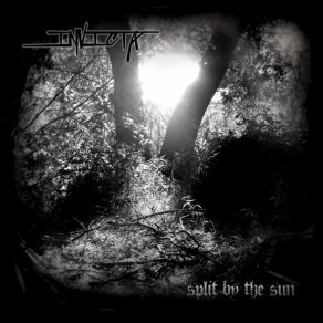 Download track Split By The Sun Invicta