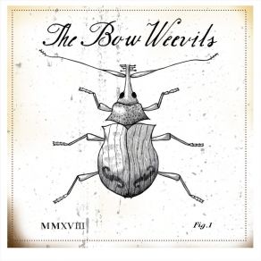 Download track Sleepy Desert The Bow Weevils