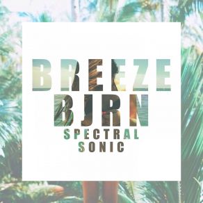 Download track Spectral Sonic (Dub Mix) Bjrn