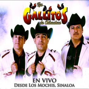 Download track Que Me Lleven Ala Carcel Los Gallitos De Chihuahua