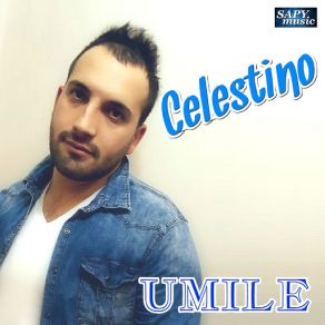 Download track C'aggia Fa' Celestino