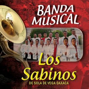 Download track El Toro Gacho Banda Musical Los Sabinos