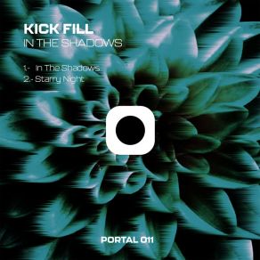 Download track Starry Night (Original Mix) Kick Fill