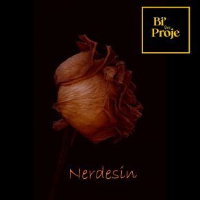 Download track Virane Bi' Şey Proje