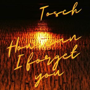 Download track How Can I Forget You (Instrumental) ToschΟΡΓΑΝΙΚΟ