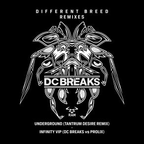 Download track Infinity VIP DC BreaksDC Breaks Prolix