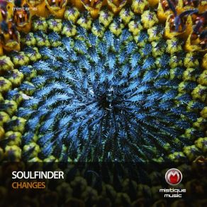 Download track Dancing With Wolves (Original Mix) Soulfinder