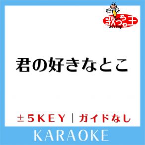 Download track 君の好きなとこ (原曲歌手: 平井堅) 歌っちゃ王