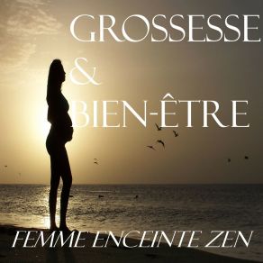 Download track Préparation À La Naissance Femme Enceinte Zen