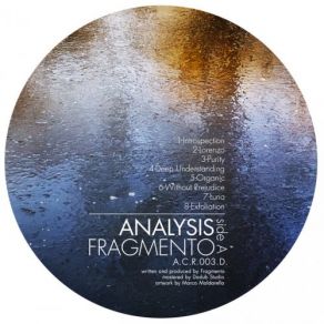 Download track Organic (Original Mix) Fragmento