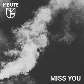 Download track Miss You Meute