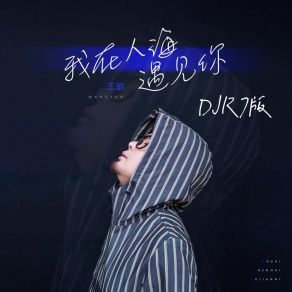 Download track 我在人海遇见你 (DJR7版) Wang Yun