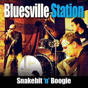 Download track Miss Me When Im Gone Bluesville Station