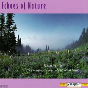 Download track Morning Songbirds Echoes Of Nature