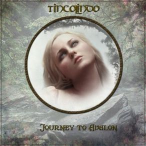 Download track The Long Journey Tincolindo