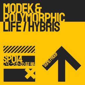 Download track Hybris Polymorphic