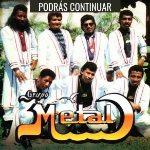 Download track Podrás Continuar Grupo Metal