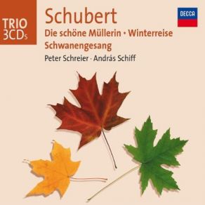 Download track Winterreise, D. 911: Nr. 18. Der StÃ¼rmische Morgen Peter Schreier, András Schiff