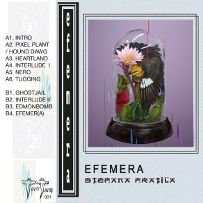 Download track Pixel Plant / Hound Dawg Stefana Fratila