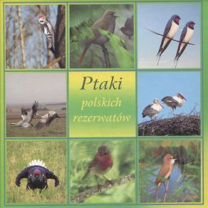 Download track Finch, Cap, Cuckoo, Diapers, Potros, Gray Nightingale, Gull, Trzciniak, Sparrow, Chaffinch (Dru¿no Lake Nature Reserve) Odglosy Natury