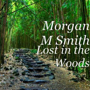 Download track The Sound Of Birds In The Dark Corner Morgan M Smith