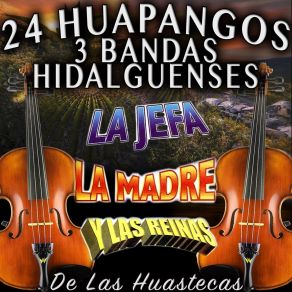 Download track El Framboyan Bandas Hidalguenses