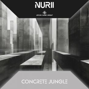 Download track Concrete Jungle (Radio Edit) Nurii