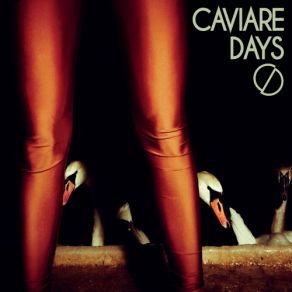 Download track When The Light Is Breaking Caviare Days