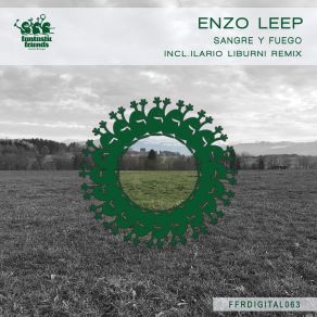 Download track Lirios Enzo Leep