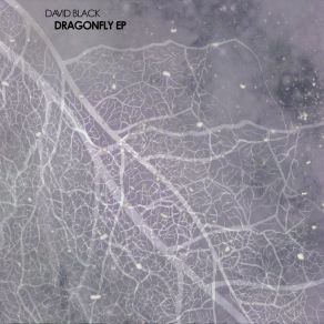 Download track Dragonfly (Part 2) David Black