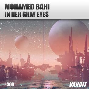 Download track In Her Gray Eyes Mohamed Bahi